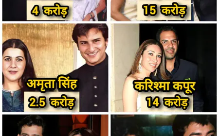 बॉलीवुड के सबसे महंगे तलाक, इस अभिनेता को चुकाने पड़े थे 380 करोड़ रुपये
