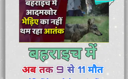 बहराइच में भेड़ियों का आतंक: डिहवा कला और कटेला बेलाहरी में हमले