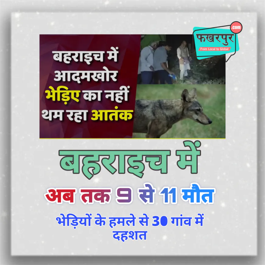 बहराइच में भेड़ियों का आतंक: डिहवा कला और कटेला बेलाहरी में हमले