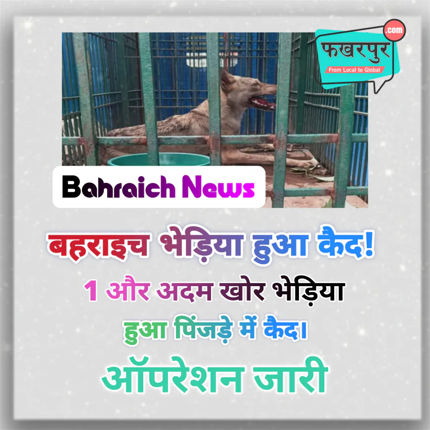 बहराइच में आदमखोर भेड़िया पकड़ा गया: सिसौरा के कछार में वन विभाग की बड़ी कामयाबी