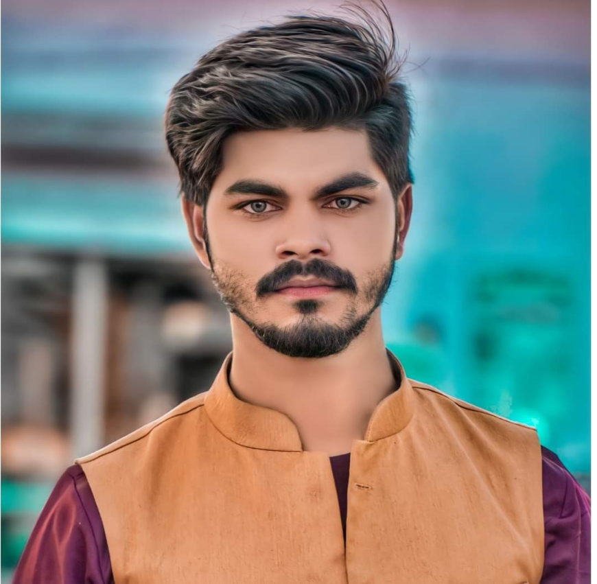 मोहम्मद जीशान अंसारी विकिपीडिया
