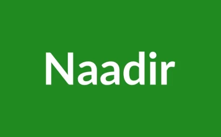 Naadir Name Meaning in English