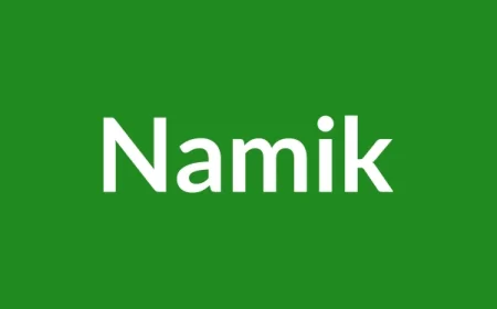 Namik Name Meaning in English