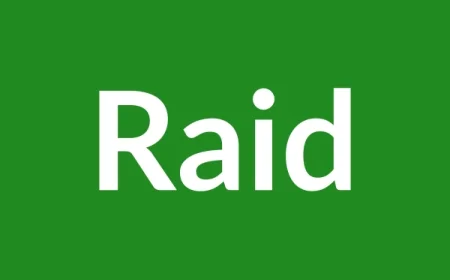 Raid Name Meaning in English