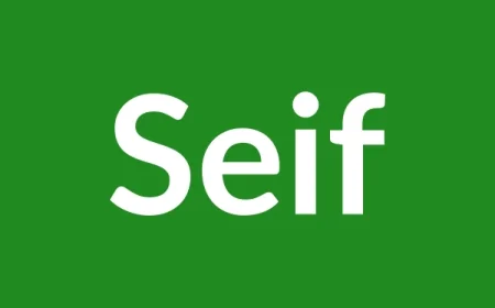 Seif Name Meaning in English