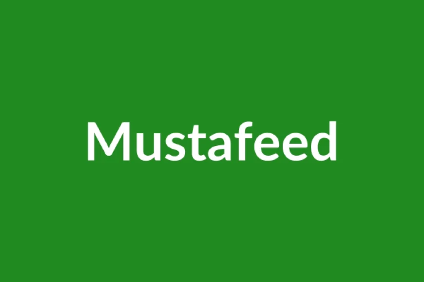 Mustafeed Name Meaning in English