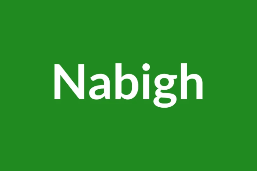 Nabigh Name Meaning in English