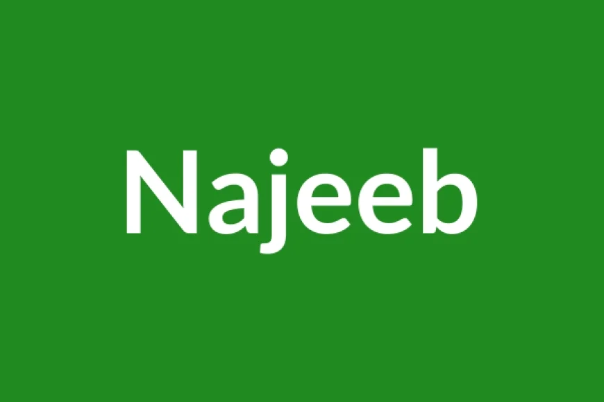 Najeeb Name Meaning in English