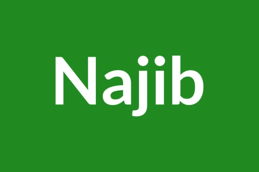 Najib Name Meaning in English