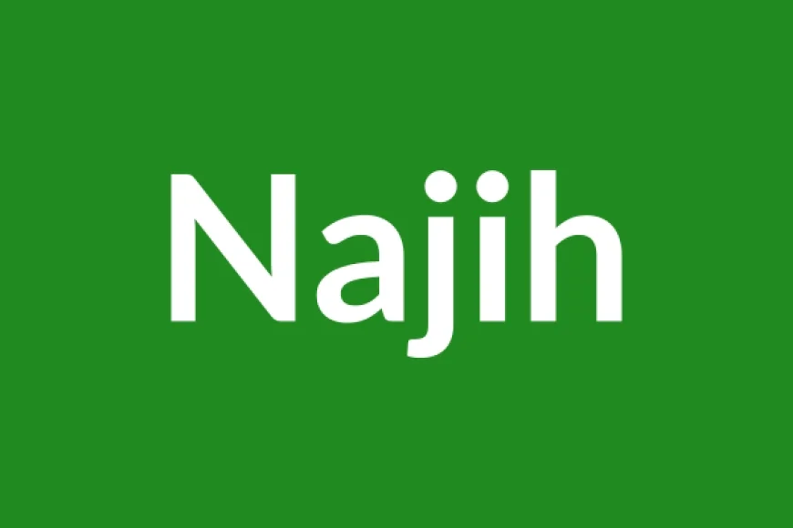 Najih Name Meaning in English