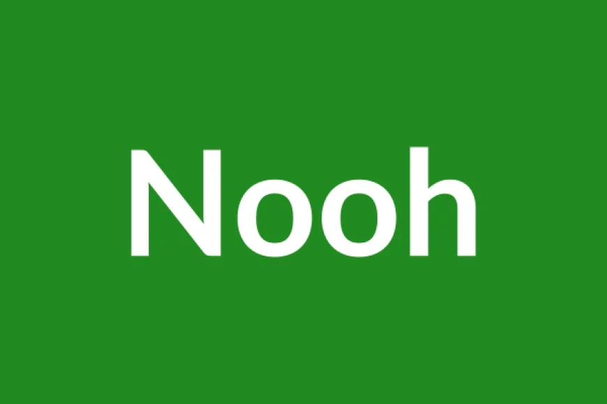 Nooh Name Meaning in English