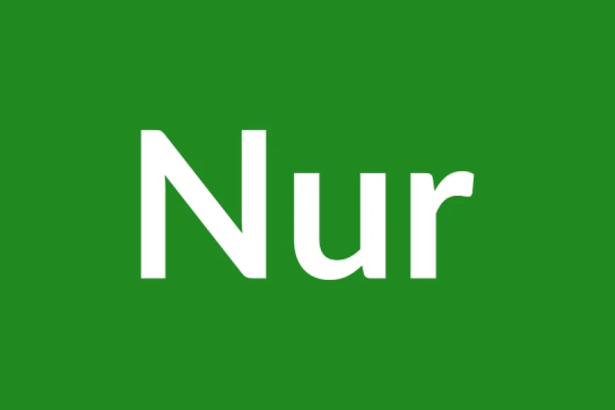 Nur Name Meaning in English