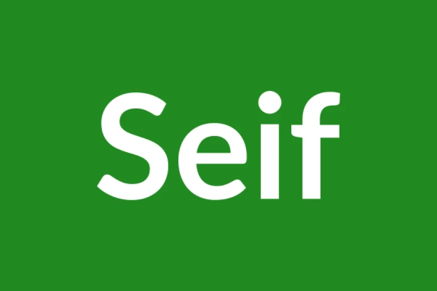 Seif Name Meaning in English