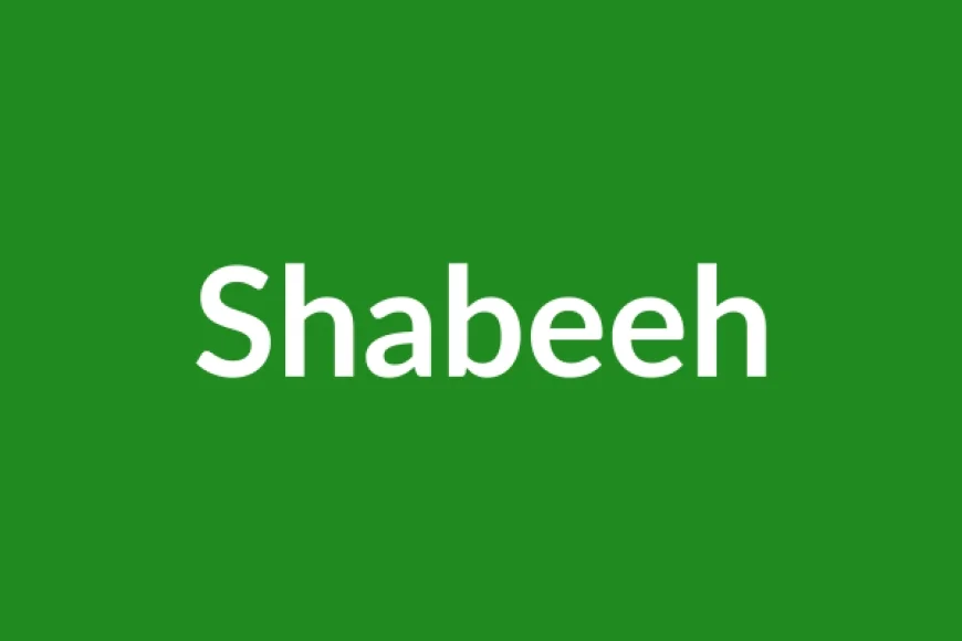 Shabeeh Name Meaning in English