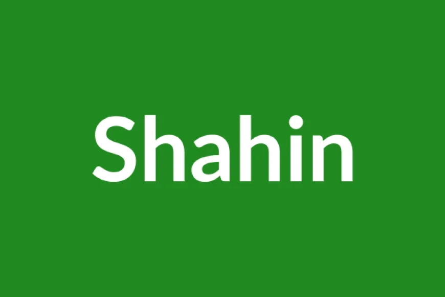 Shahin Name Meaning in English