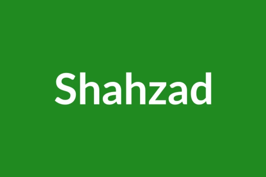 Shahzad Name Meaning in English