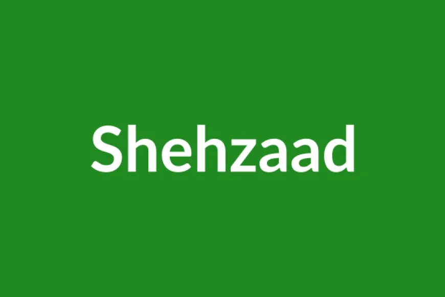 Shehzaad Name Meaning in English
