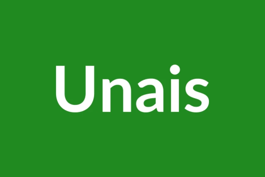 Unais Name Meaning in English