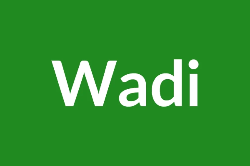 Wadi Name Meaning in English