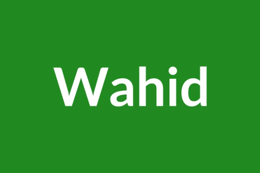 Wahid Name Meaning in English