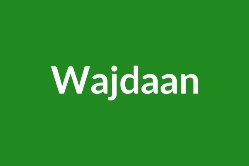 Wajdaan Name Meaning in English