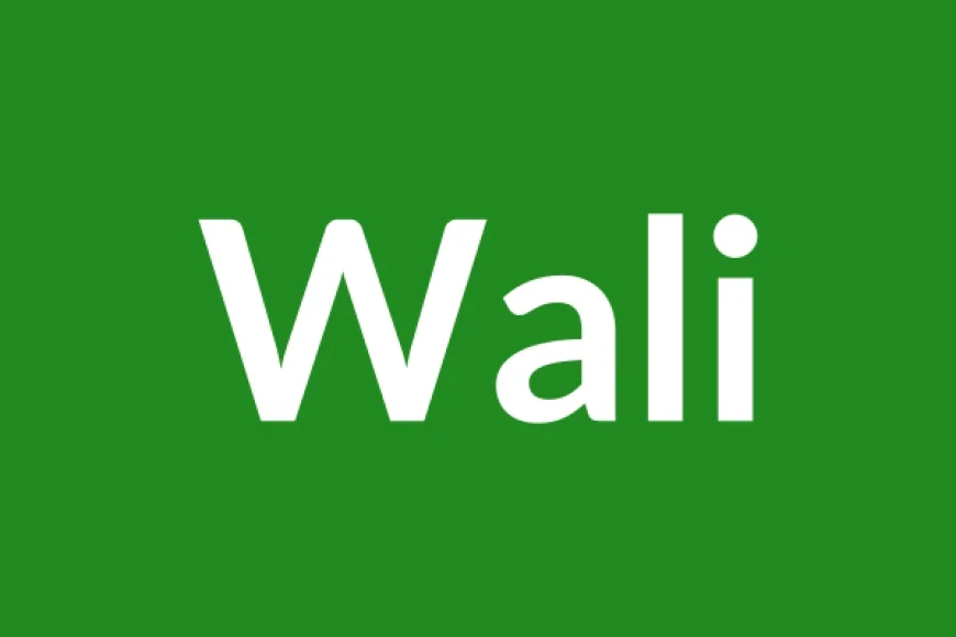 Wali Name Meaning in English