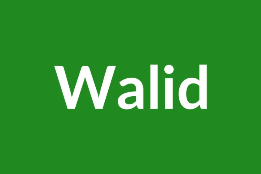 Walid Name Meaning in English