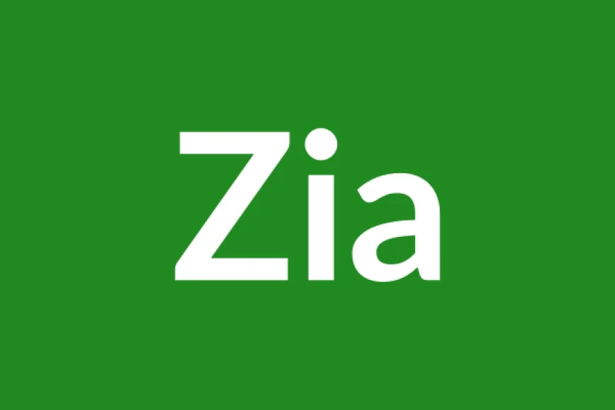 Zia Name Meaning in English